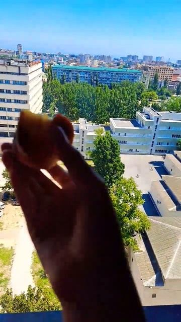 эстэтика персика🍑 что😱 две косточки