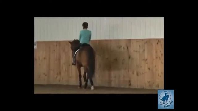 Lateral Work at the Walk with Lilo Fore смотреть онлайн