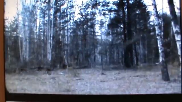 "С тобой и без тебя" смотреть онлайн