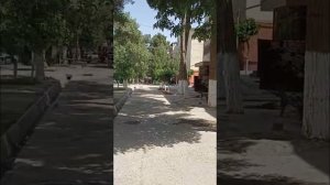 ТЕРМЕЗ УЗБЕКИСТАН 2025 #video #лучшее #город #путешествия #дом