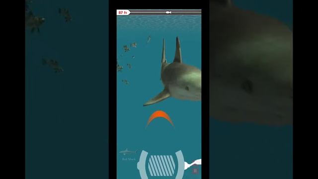 Rapala Fishing Game - Caught Legendary Bull Shark #1 смотреть онлайн