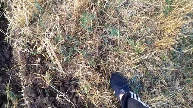 ✅ Култивация поля!!! 4день!!! 2часть!!! смотреть онлайн