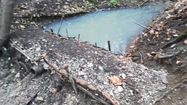 Свой пруд #4. Конец. смотреть онлайн