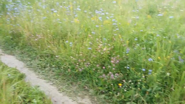 Утро в деревне смотреть онлайн