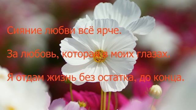 Поцелуй Бога. смотреть онлайн