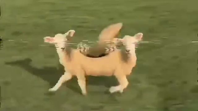 Премьера трека Аватар （на ходу, фристайл） Аватар 2 смотреть онлайн