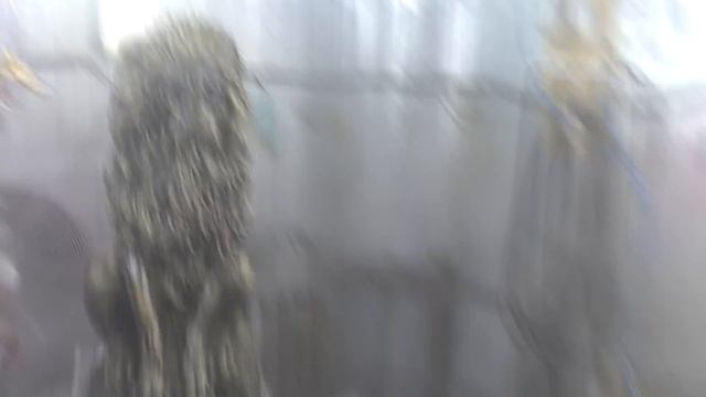 Хромирование большого Льва !!! Sky Chrome technology смотреть онлайн