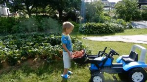 Тема и Синий Трактор - Ягодки