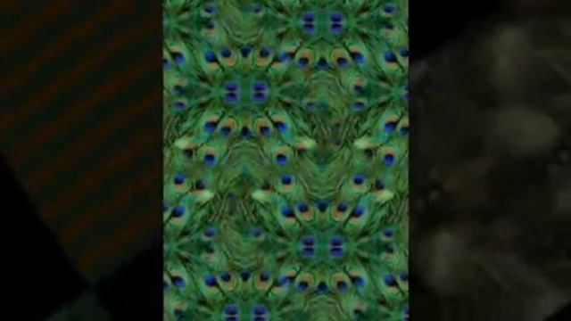 Feather and Fur Craft Download Show from icangetitonline.com смотреть онлайн