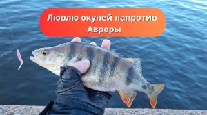 #94 #рыбалка Окунь снова бодро клевал напротив Авроры