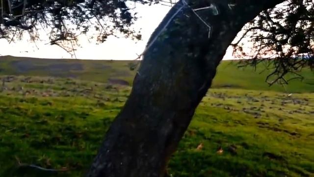 природа и горы / счастье / мотивация / VeraBar