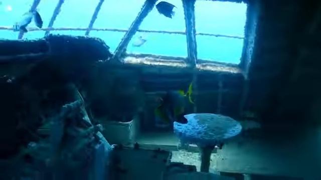 Bahrain diving смотреть онлайн