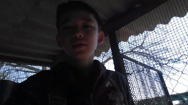 Всё об утках!! о яйцекладки уток смотреть онлайн