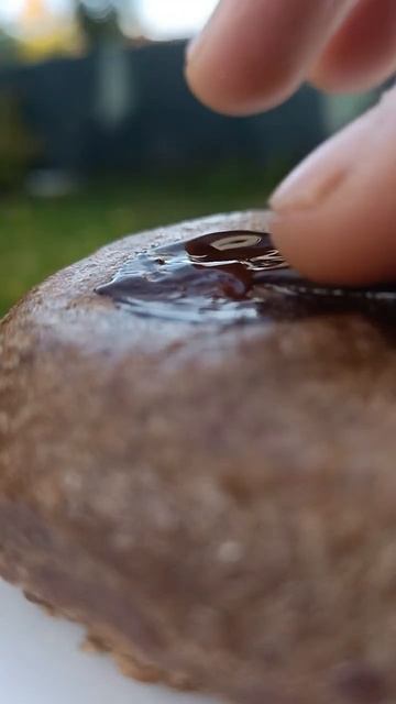 Gingerbread With 100% Cacao? Yes Please