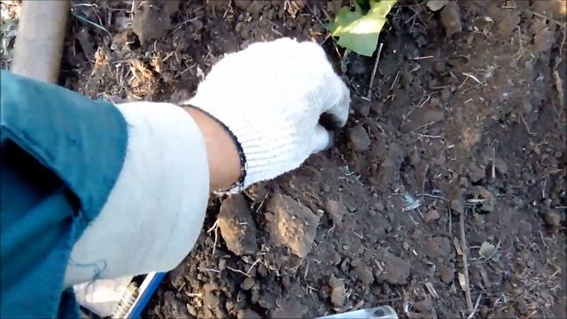 Коп. Поиск монет на мертвой деревне. Находка блеск.! смотреть онлайн