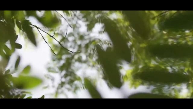 Премьера! Weel - Увези смотреть онлайн