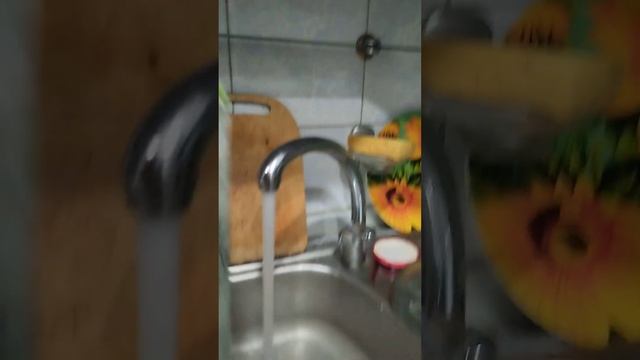 бомбизеплэнтин