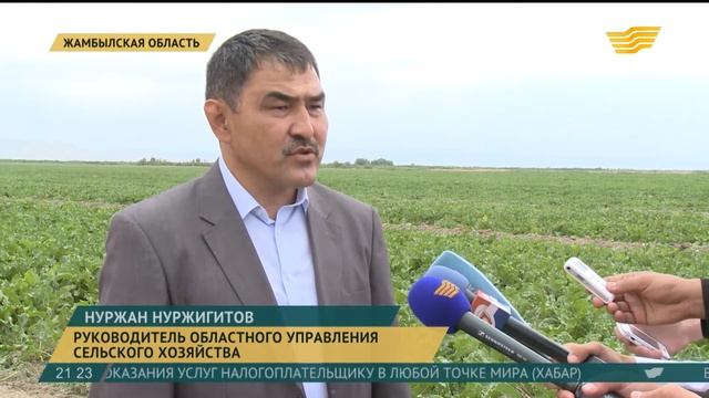 Аграрии Жамбылской области надеются на хороший урожай кормовых и зерновых культур смотреть онлайн