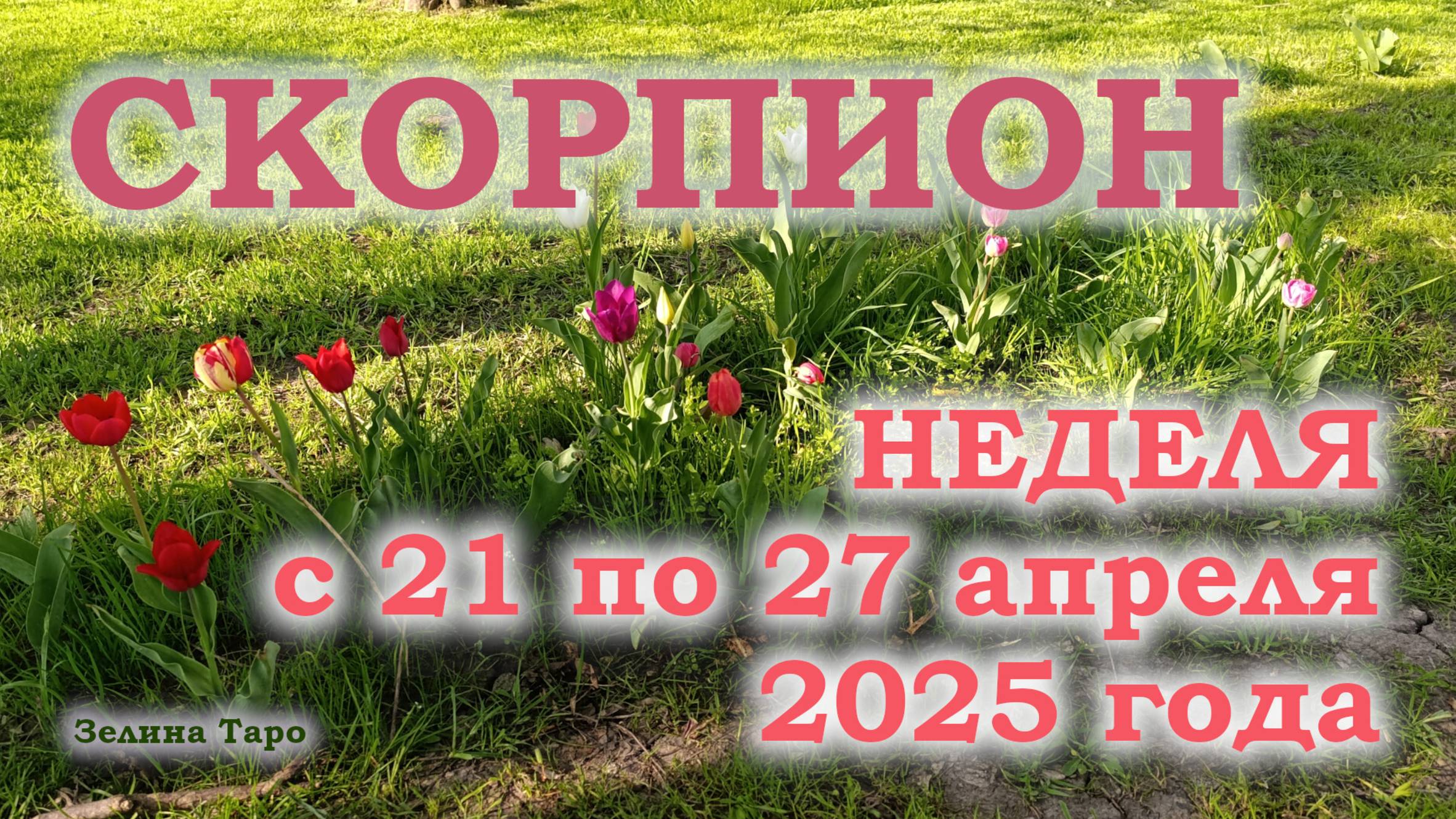 СКОРПИОН | ТАРО прогноз на неделю с 21 по 27 апреля 2025 года