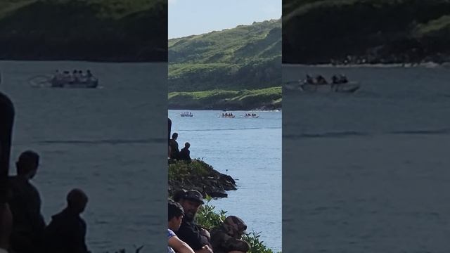 Jasmine paddling 1/6/24 смотреть онлайн