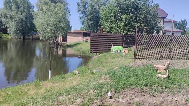 2023 05 28 Осока