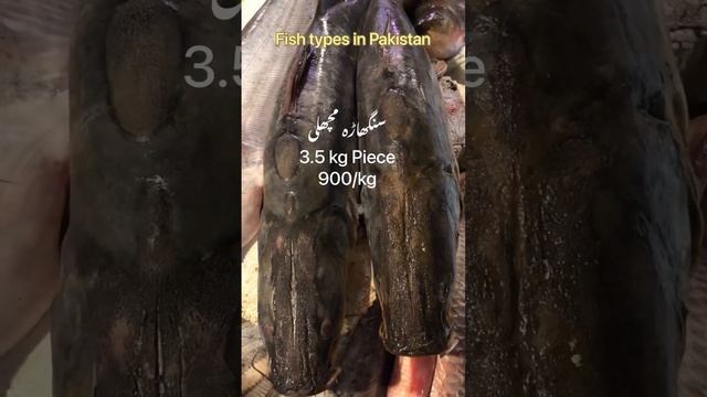 Fish types with Prices in Pakistan #food #lahorifoodie #streetfood #lahorefood #foodie #foodofpak