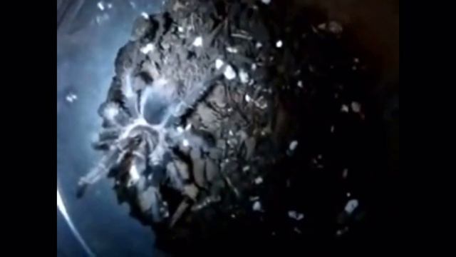 Tarantula Feeding Video 22 ( part 2 ) смотреть онлайн