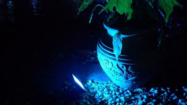Topband smart flood light RGBW outdoor color changing light, IP65 waterproof смотреть онлайн