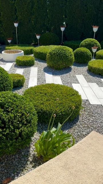 Самый красивый сад,  самый уютный двор, самые красивые растения, самые лучшие места ддя отдыха