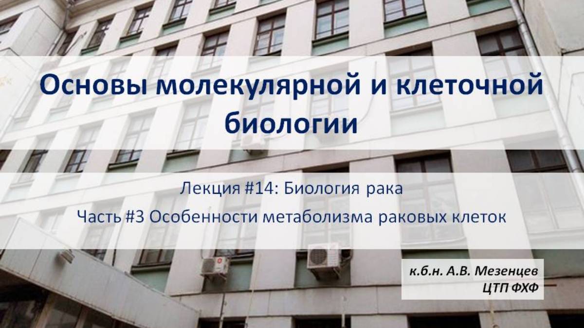 Основы молекулярной и клеточной биологии (2024) Л14 Биология рака. Ч3. Особенности метаболизма