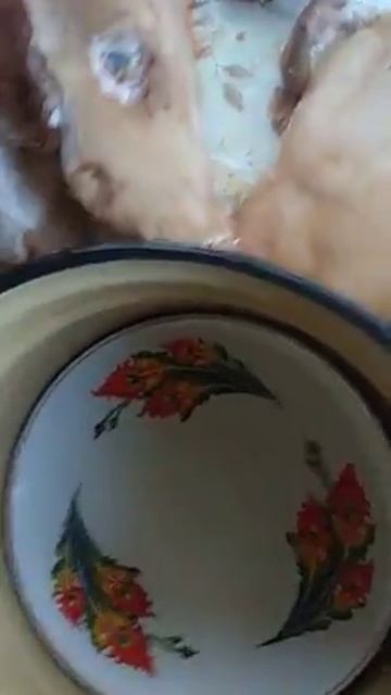 Сальтиссон своими руками(11)