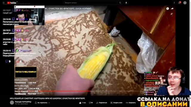 HELLYEAHPLAY СМОТРИТ: КАРТОШКА ФРИ ИЗ ШКОРОК | ОЧИСТКИ ВО ФРИТЮРЕ ( Реакции HellYeahPlay ) | Реакци