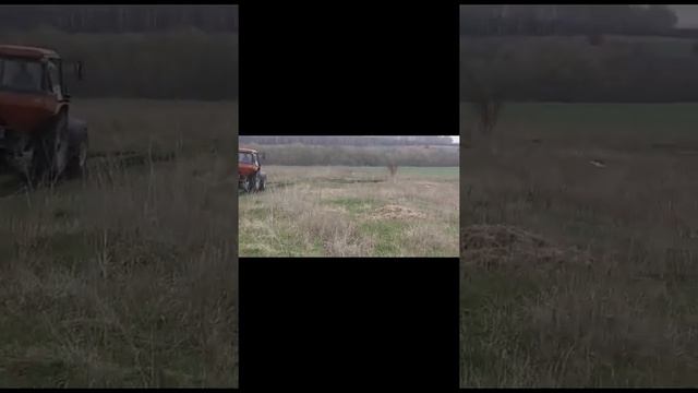 Подкормка озимой пшеницы смотреть онлайн