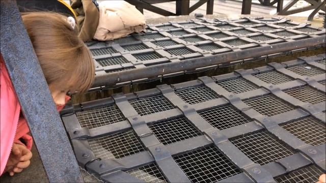 Замок-крепость в Птуе. смотреть онлайн