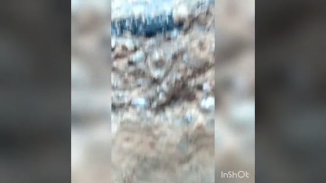 колодец в питомнике смотреть онлайн