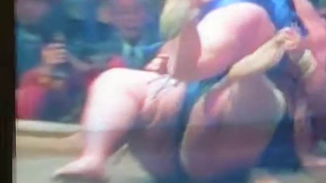 pelea de sumo смотреть онлайн