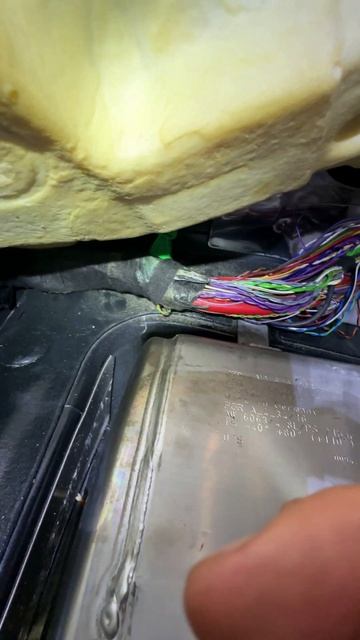 Euro Car Enthusiast World