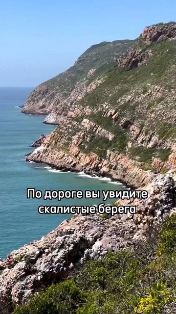ХОТИТЕ УСЛЫШАТЬ, КАК ХРЮКАЮТ МОРСКИЕ КОТИКИ? - ВАМ СЮДА!☝️ смотреть онлайн