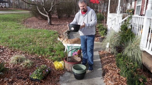 Planting White Squill, Snowdrops, Pansies, and Daffodils🌼💮 смотреть онлайн