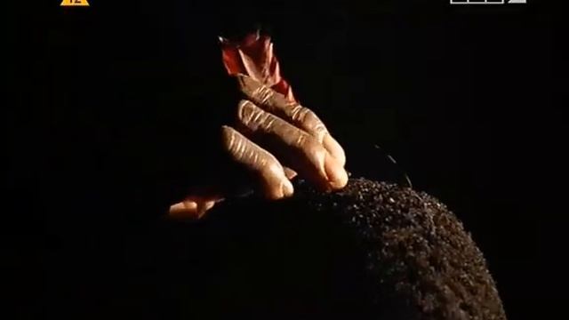 Taniec Trzcin (Umhlanga, Reed Dance In Swaziland)