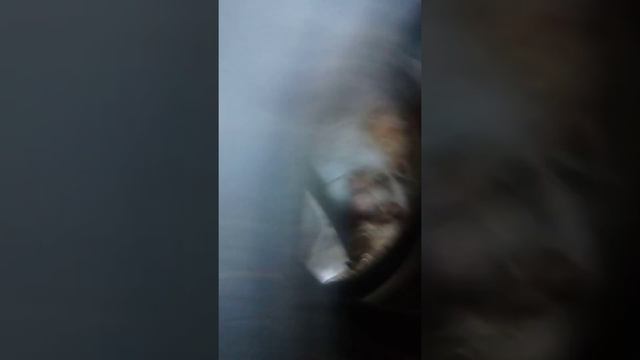 шини на Т 25 11.2 на 28 2000 гр шт 0689744671 іван смотреть онлайн
