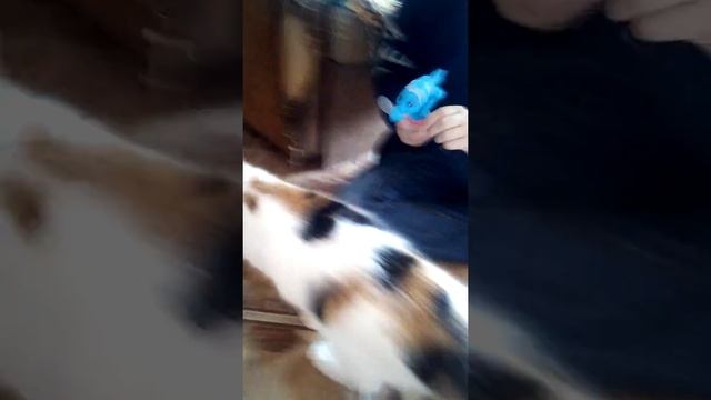 Поющий в туалете смотреть онлайн