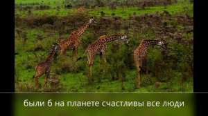 Землю обмотали тоненькие нити