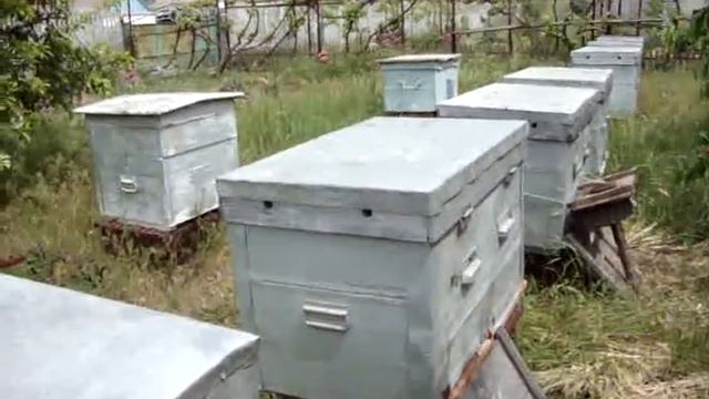 Секреты старых пчеловодов при покраске ульев смотреть онлайн