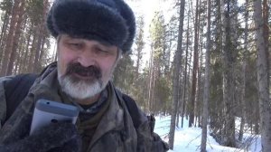 Наст и его разнообразие