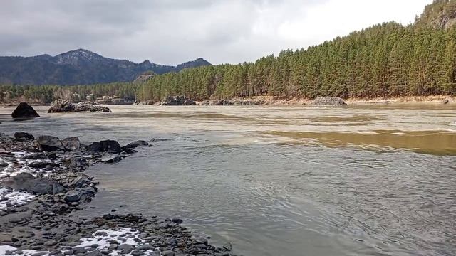 Прогулка по берегу р.Катунь Горный Алтай, ♥️♥️♥️ смотреть онлайн