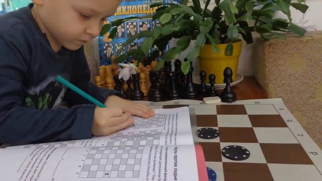 ШАХМАТЫ ДЛЯ ДЕТЕЙ ОМСК СТУДИЯ МАСТЕР 2 смотреть онлайн