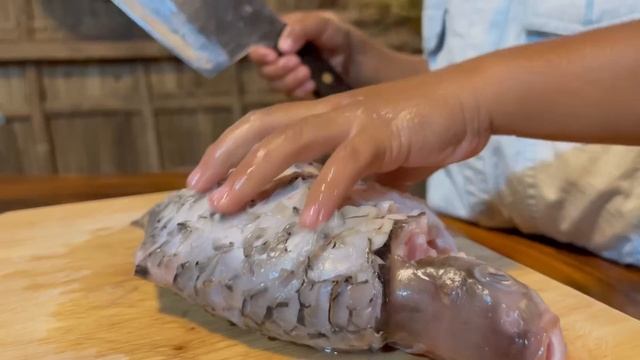 Little Boy In Countryside Harvest Tomato For Cooking / Tomato Recipe / Chef Seyhak