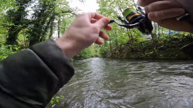 Это какая-то магия, отличный клёв ручьевой Форели! Дикая Форель в ручье! #малыереки #рыбалка #форел