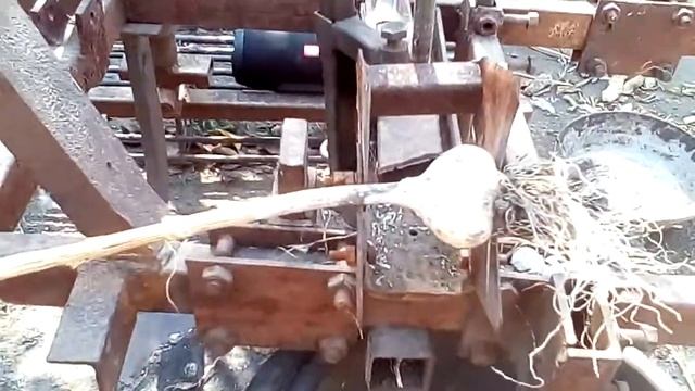 Як обрізати часник.